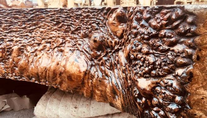 Sập gỗ nu cẩm lai giá 3 tỉ đồng ở Hà Nội